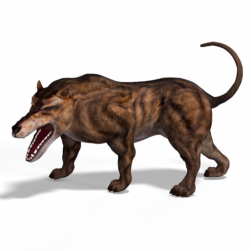Andrewsarchus 10 B_0001.jpg - Dangerous dinosaur Andrewsarchus With Clipping Path over white